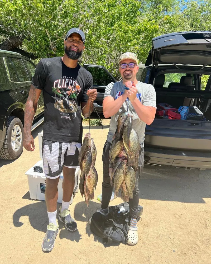 大力沉的冷 大力沉的冷