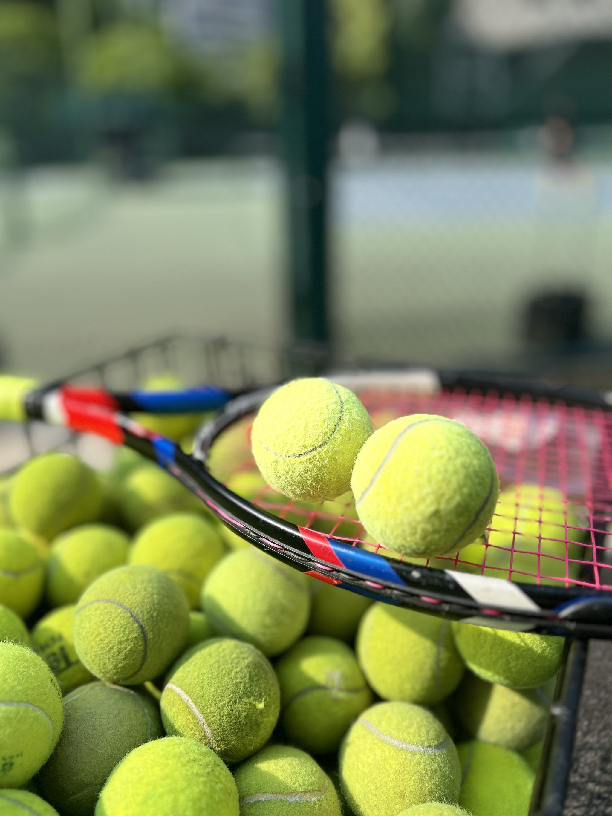 业生涯的晚 业生涯的晚