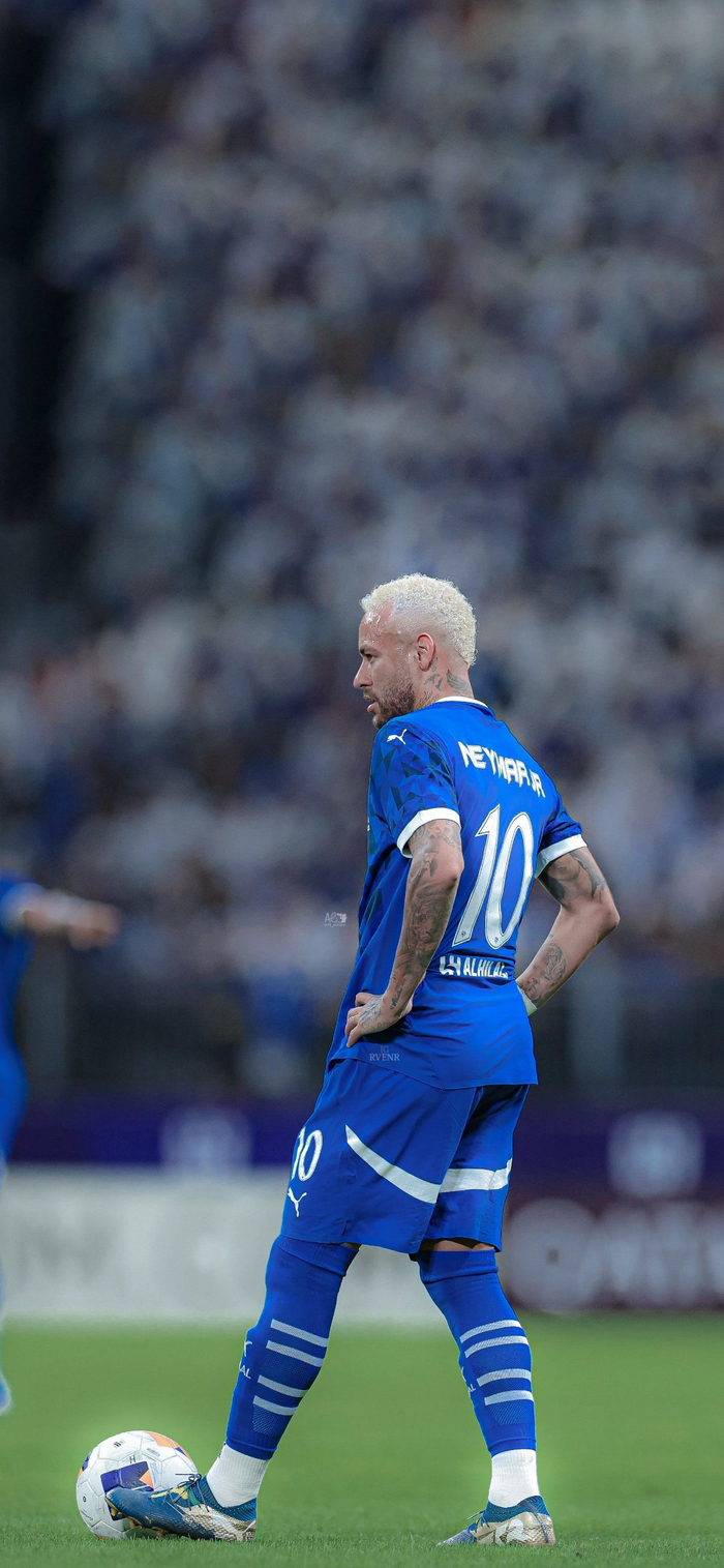 港新组合展 港新组合展