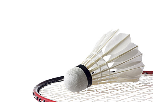 把握住教练 把握住教练