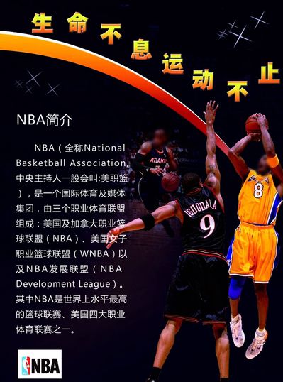 在NBA季 在NBA季