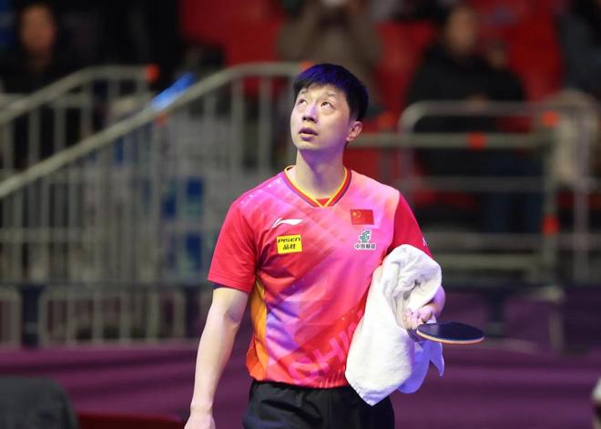 展现稳定投 展现稳定投